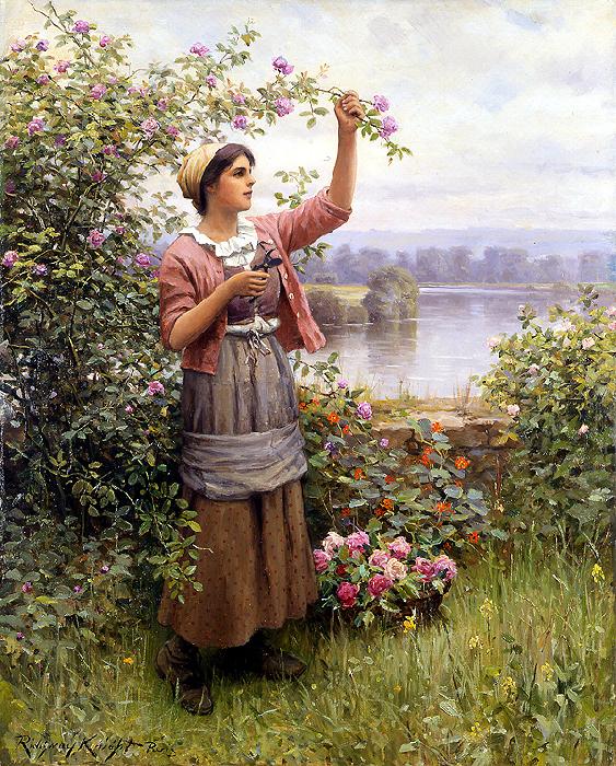 Daniel Ridgeway Knight Gathering Roses